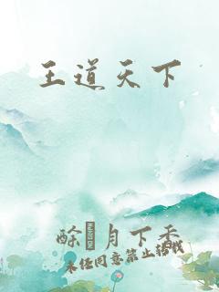 王道天下
