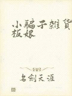 小骗子杂货铺老板娘