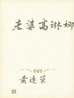 老婆高琳娜出轨