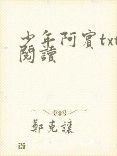 少年阿宾txt阅读