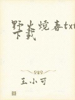 野火烧春txt下载