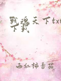 战魂天下txt下载