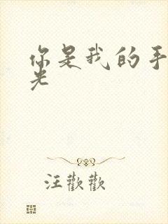 你是我的手冢国光