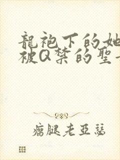龙袍下的她皇嫂被Q禁的圣女