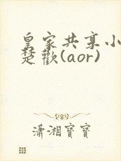 皇家共享小公主楚欢(aor)