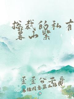 总裁的私有宝贝 暮山紫