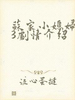 苏家小媳妇1v3剧情介绍