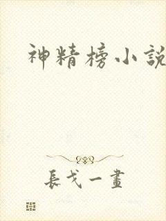 神精榜小说