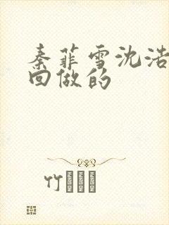 秦菲雪沈浩第几回做的