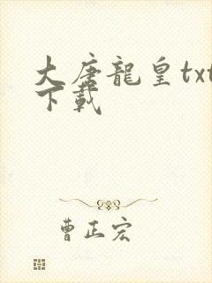 大唐龙皇txt下载