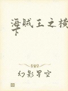 海贼王之横行天下