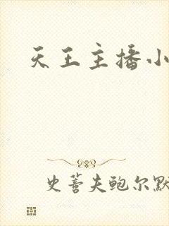 天王主播小说