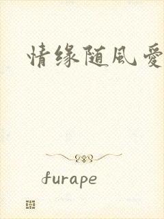 情缘随风爱淡淡