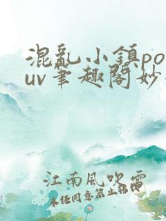 混乱小镇popuv笔趣阁妙妙