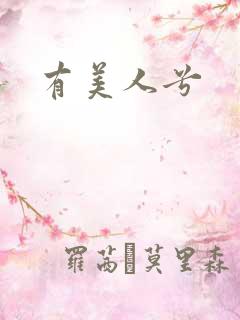 有美人兮
