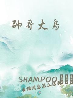 帅哥大鸟