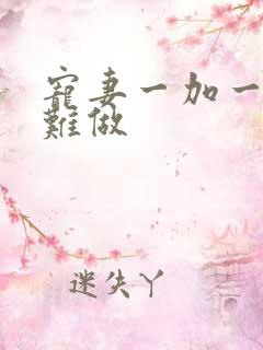 宠妻一加一老婆难做