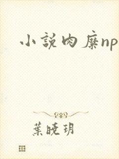 小说肉糜np