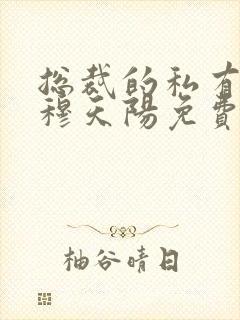 总裁的私有宝贝穆天阳免费