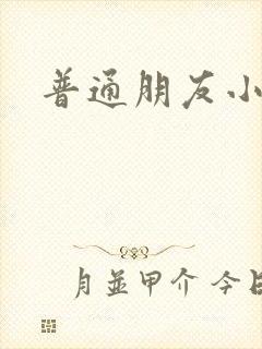 普通朋友小说