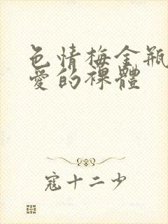 色情梅金瓶2之爱的裸体