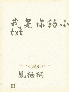 我是你的小小狗txt