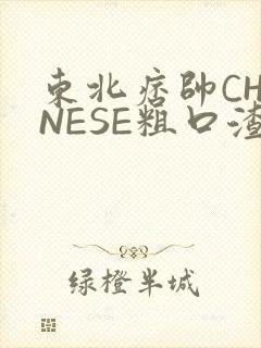 东北痞帅CHINESE粗口渣男