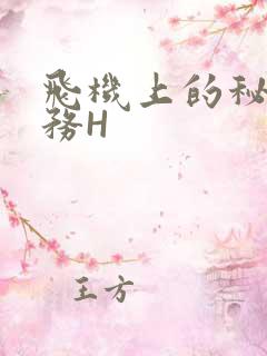 飞机上的秘密服务H