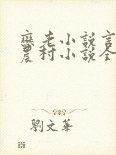 恋老小说言情网农村小说全文阅读