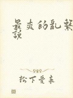 最爽的乱系列小说