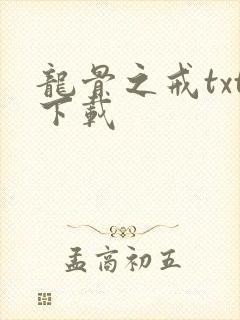 龙骨之戒txt下载