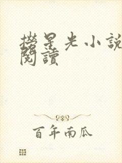 捞星光小说免费阅读