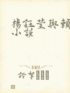 杨钰莹与赖昌星小说