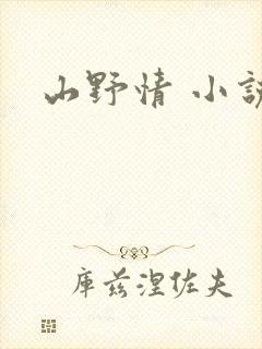 山野情 小说