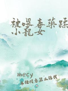 被喂春药蹂躏的小龙女