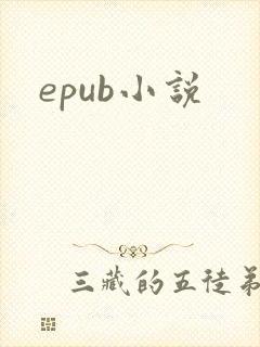 epub小说