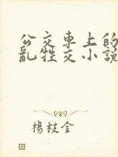 公交车上的疯狂乱牲交小说