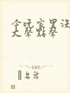 今晚家里没人叫大声点声