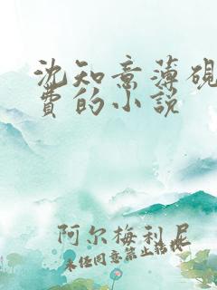 沈知意薄砚霆免费的小说