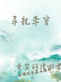 寻龙夺宝