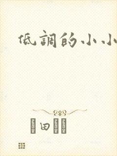 低调的小小宫女