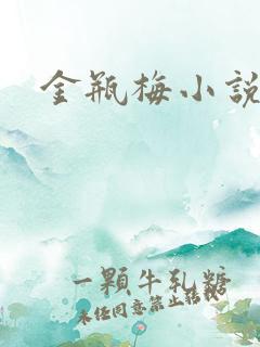 金瓶梅小说在线