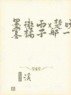 墨微雨x楚晚宁塞橘子哪一章