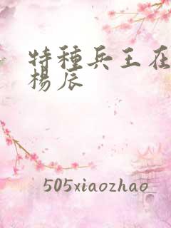 特种兵王在都市杨辰