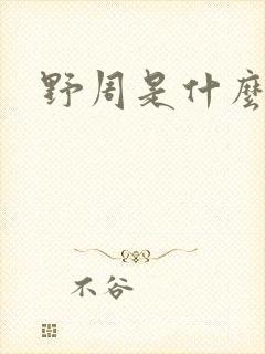 野周是什么意思