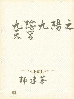 九阴九阳之武战天穹