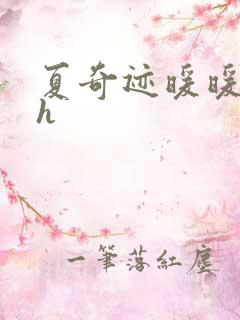 夏奇迹暖暖快穿h