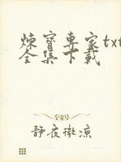 炼宝专家txt全集下载