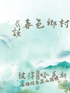 《春色乡村》小说