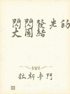 闪闪发光的小说大团结